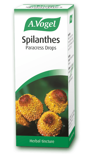 Spilanthes 50ml - A.Vogel - Image 1