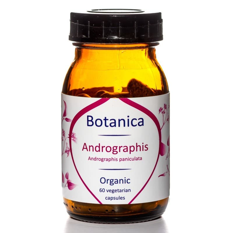 Βιολογική Ανδρογραφίδα - Organic Andrographis 500mg, 60caps - Botanica