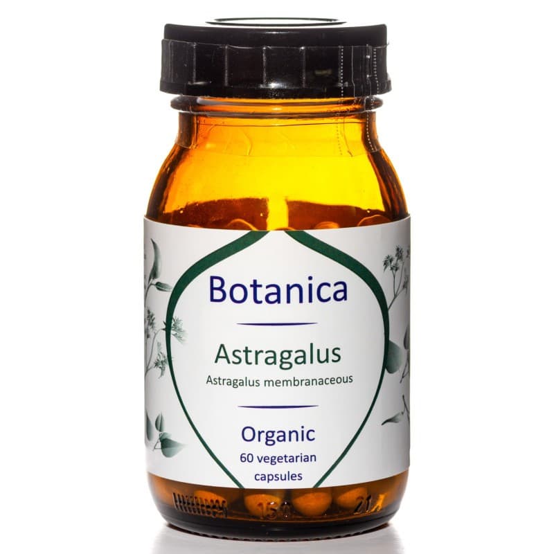 Βιολογικός Αστράγαλος - Organic Astragalus  500mg, 60caps - Botanica