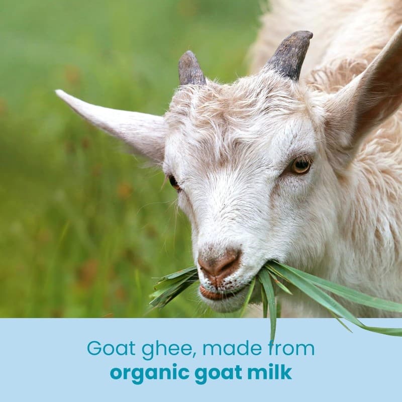 Βιολογικό Κατσικίσιο Γκι - Goat Ghee Οrganic 245gr - Ghee Easy - Thumbnail 4